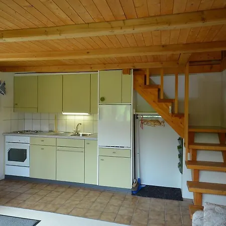 Alpengruss Apartment Adelboden