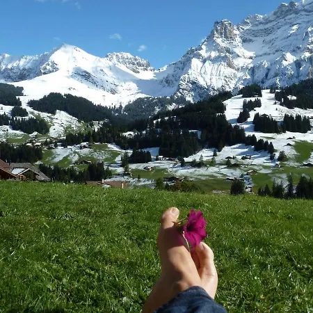 Alpengruss Apartment Adelboden